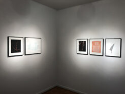 XXXI-IMG_7869