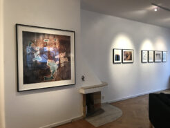 XXXI-IMG_7872